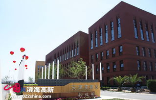 軟件企業337家領跑市場，濱海新區引領全市軟件外包服務新篇章